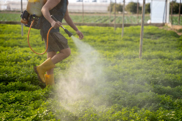 Best Affordable Exterminators  in Weslaco, TX
