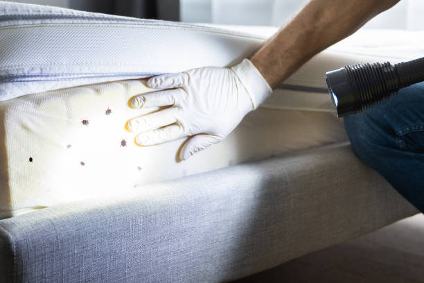 Best Commercial Pest Control Services  in Weslaco, TX