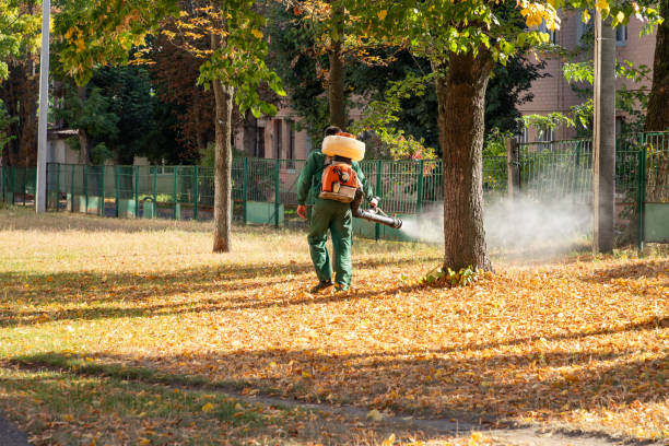 Best Bed Bug Extermination  in Weslaco, TX