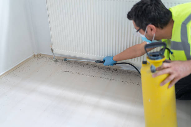 Best Mosquito Control Services  in Weslaco, TX