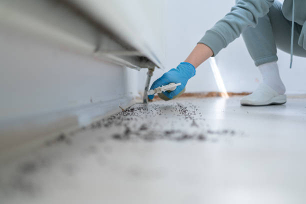 Best Commercial Pest Control Services  in Weslaco, TX