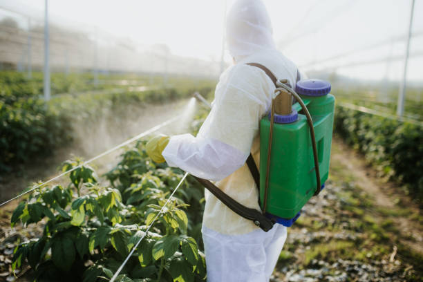 Best Cockroach Control Services  in Weslaco, TX